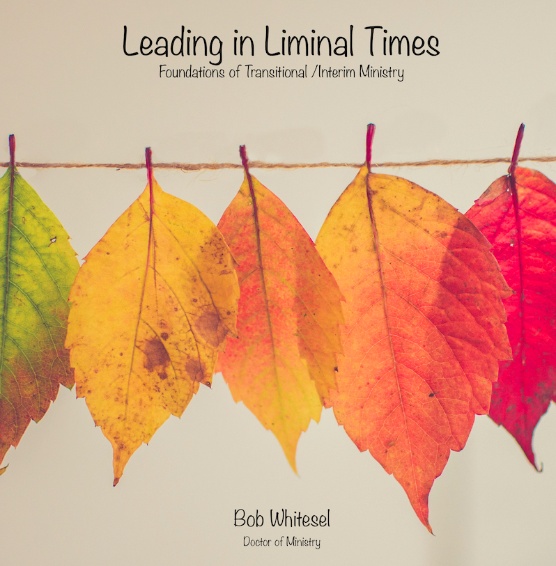 LD722 Liminal Times 1:2 page.jpg