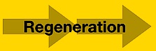7Systems Regeneration Arrows.jpg